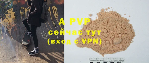 экстази Бородино