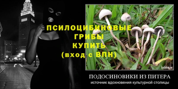 крисы Бронницы