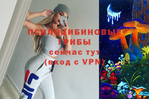 крисы Бронницы