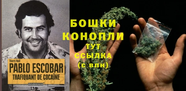 экстази Бородино