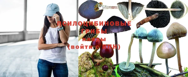 экстази Бородино