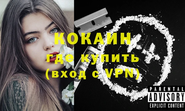 крисы Бронницы