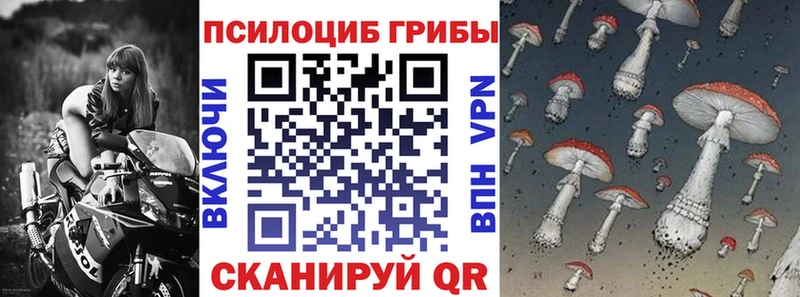 Псилоцибиновые грибы Cubensis  Домодедово 